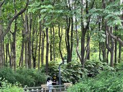 -苏州河梦清园环保主题公园