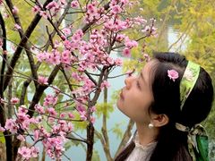 -重庆彩云湖湿地公园