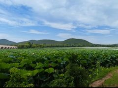 -云龙湖旅游景区