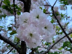 -广富林郊野公园