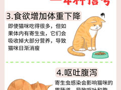 -心语宠物医院·急重症转诊中心·瑞辰华诺(南青路店)