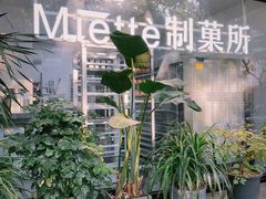 -Miette制菓所