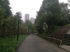 -重庆彩云湖湿地公园