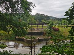 -中山市树木园