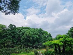 -东湖落雁景区