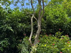 -天悦阁海景酒廊