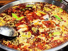 -小饕荟雅安贡椒鱼鲜馆(广福桥店)