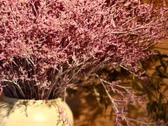 -春暖花开(西溪店)