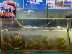 -大鹅岛灶台鱼·铁锅炖(水库路店)