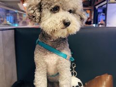 -味之绝热血美蛙鱼火锅(九眼桥店)