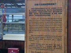 -黑瞎子岛探秘野熊园