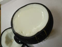 吃货椰子冻-志龙皇冠吃货椰子铺