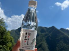 -武陵山森林公园