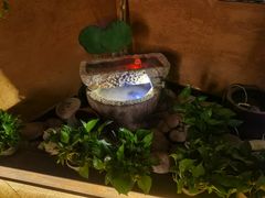 -绿茶餐厅(华联万柳店)