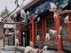 -恭王府博物馆