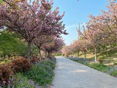 -古柏渡飞黄旅游区