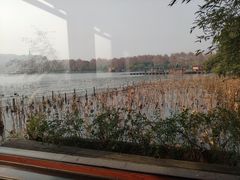 -湖畔居茶楼(湖滨店)