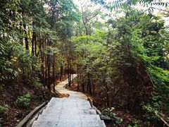 -火炉山森林公园