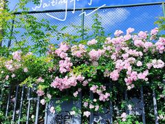 -杭州观成实验学校