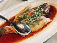 清蒸笋壳鱼-沪碟·精菜坊(闵行店)