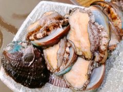 活鲍鱼-阳光岛·海鲜盛宴(银泰中心in99店)