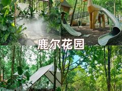 -老鼎万春卤菜(五代传承创始老店)