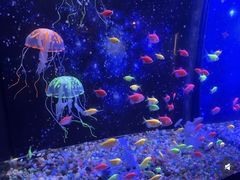 -常州海昌海洋探索馆
