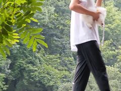 -石台牯牛降景区