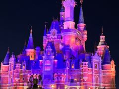 -上海迪士尼度假区