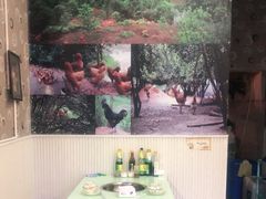 -杨记山珍鸡煲菌汤锅