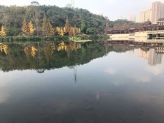 -重庆彩云湖湿地公园