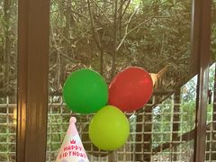 -竹海听涛生态山庄