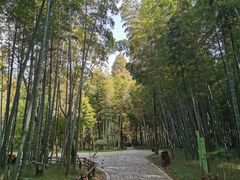 -同里国家湿地公园