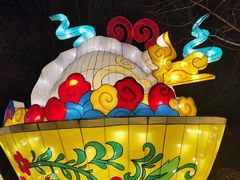 -南宫五洲植物乐园