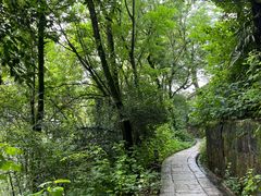 -岳麓山风景名胜区