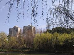 -黄兴公园