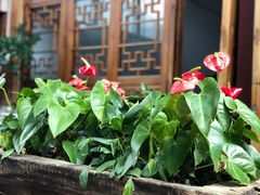 -丽江庭院之爱在路上(西单店)