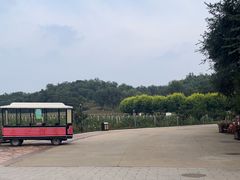 -北京张裕爱斐堡酒庄