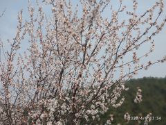 -长兴岛海滨公园