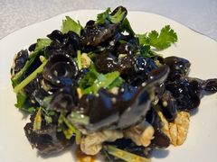 -洞庭家宴·头牌甲鱼(广渠门店)
