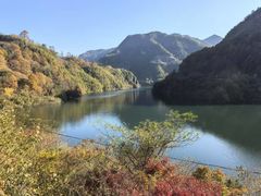 -四明山国家森林公园