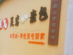 -灵岩山风景区