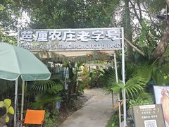 -芭厘农庄老字号·清远鸡