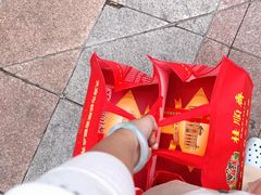 -芦庄子桂顺斋(和平路总店)