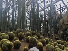 -南山植物园