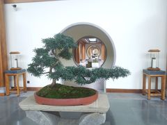 -腾冲和顺柏联酒店