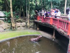 -清迈夜间动物园