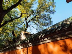 -北京国子监胡同