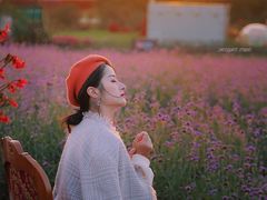 -荷兰花海