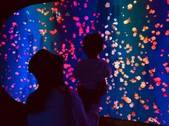 -成都浩海立方海洋公园